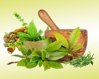 Ayurvedic Medicine Manufacturer